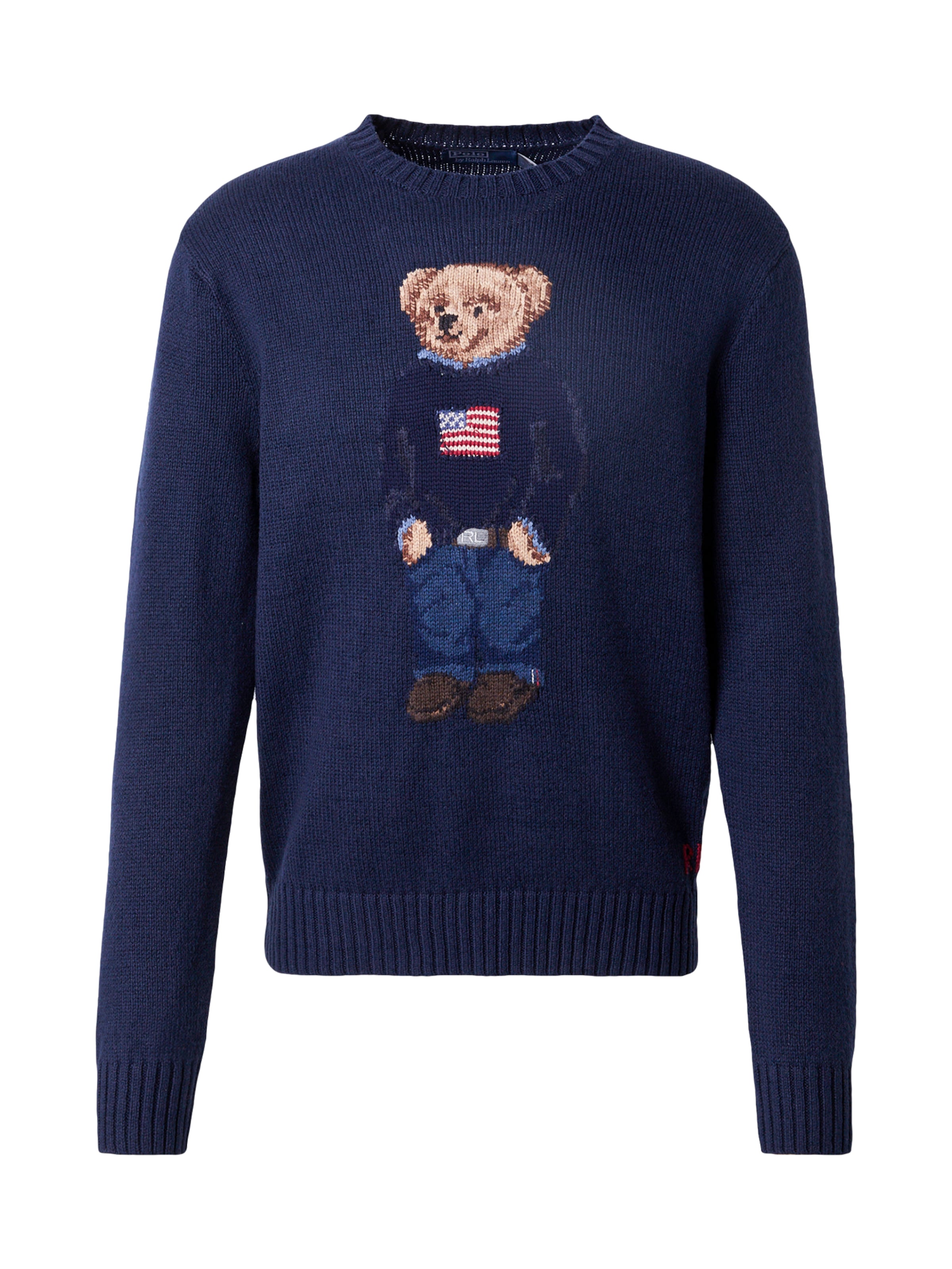 Polo Ralph Lauren Pullover in Blau: Vorderseite