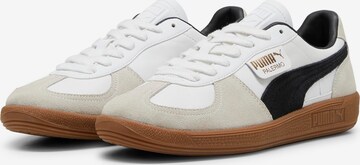 PUMA Sneaker low 'Palermo' i hvid