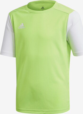 Maglia funzionale 'Estro 19' di ADIDAS PERFORMANCE in verde: frontale