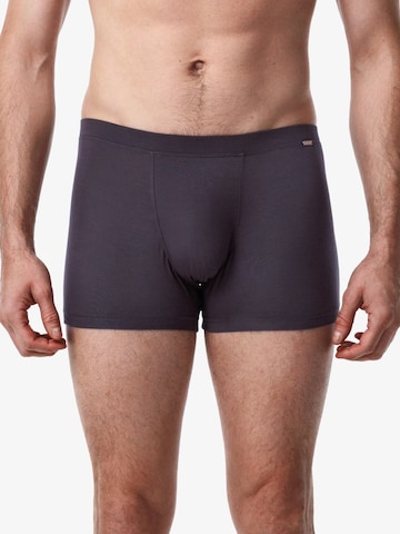 Blackspade Boxershorts in Grijs