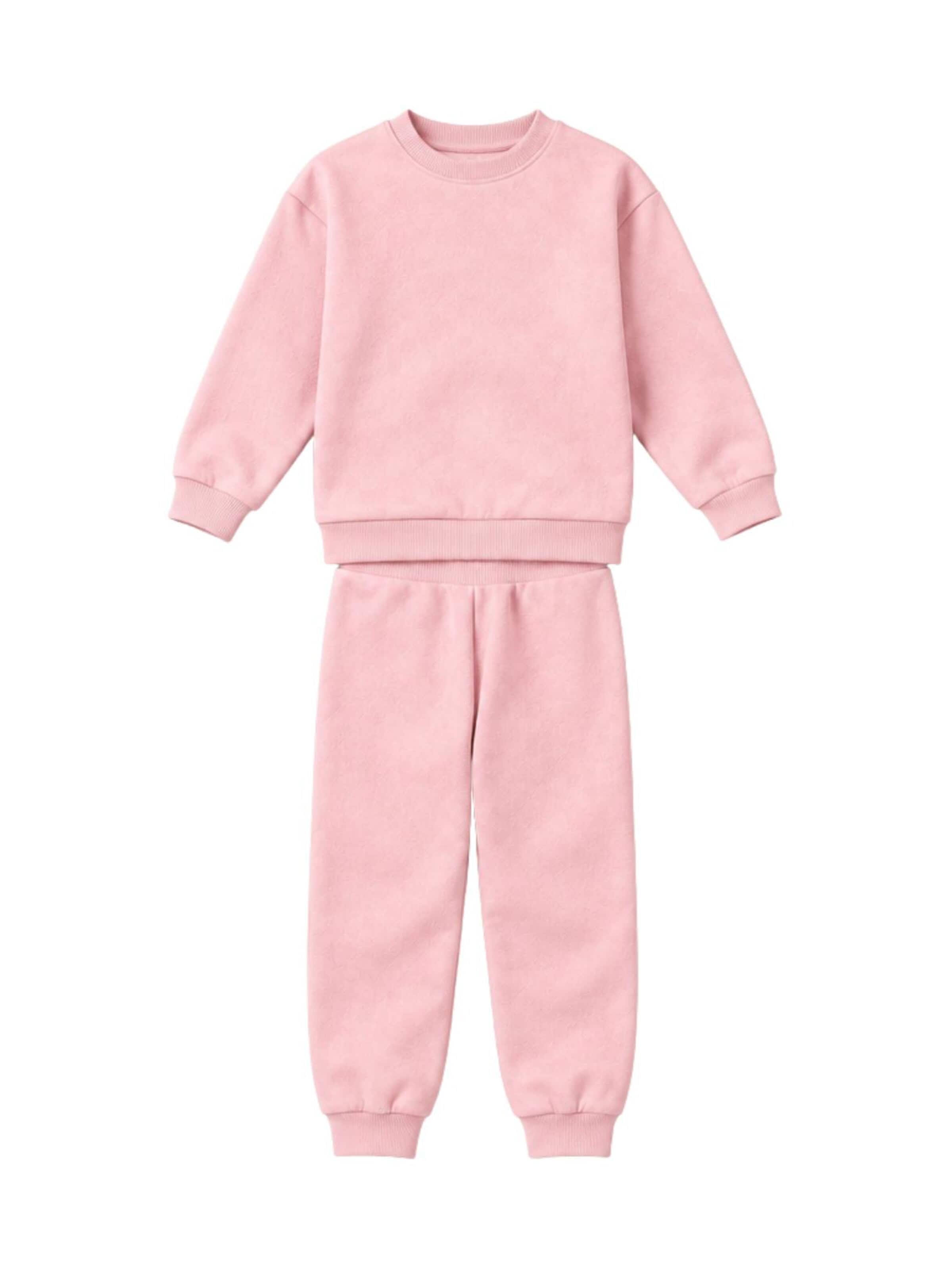 LOUIS LECLER Joggingpak 'Leo' in Roze: voorkant