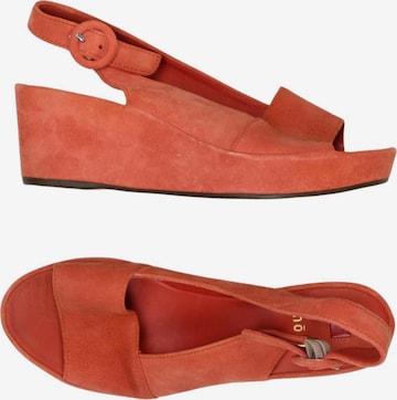 Högl Sandalen 35,5 in Rot: Vorderseite