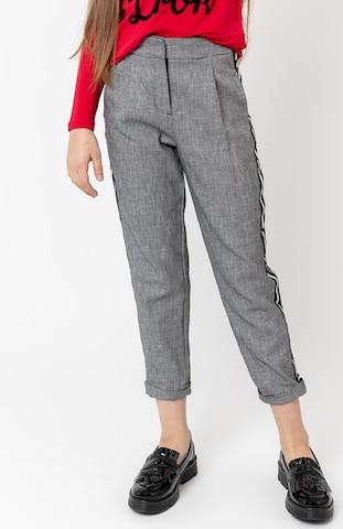 Gulliver Regular Pants in Grey: front