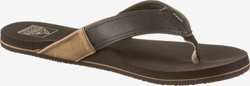 REEF Teenslippers 'Newport' in Zwart