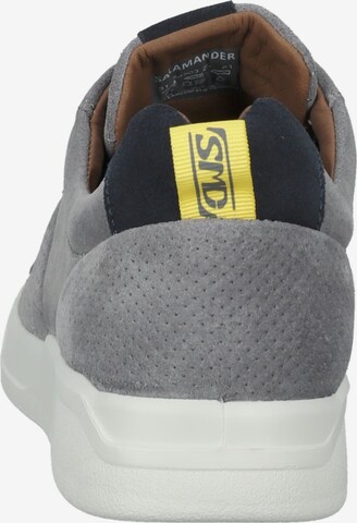 SALAMANDER Sneakers in Grey