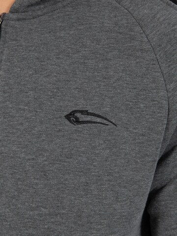 Veste de survêtement Smilodox en gris