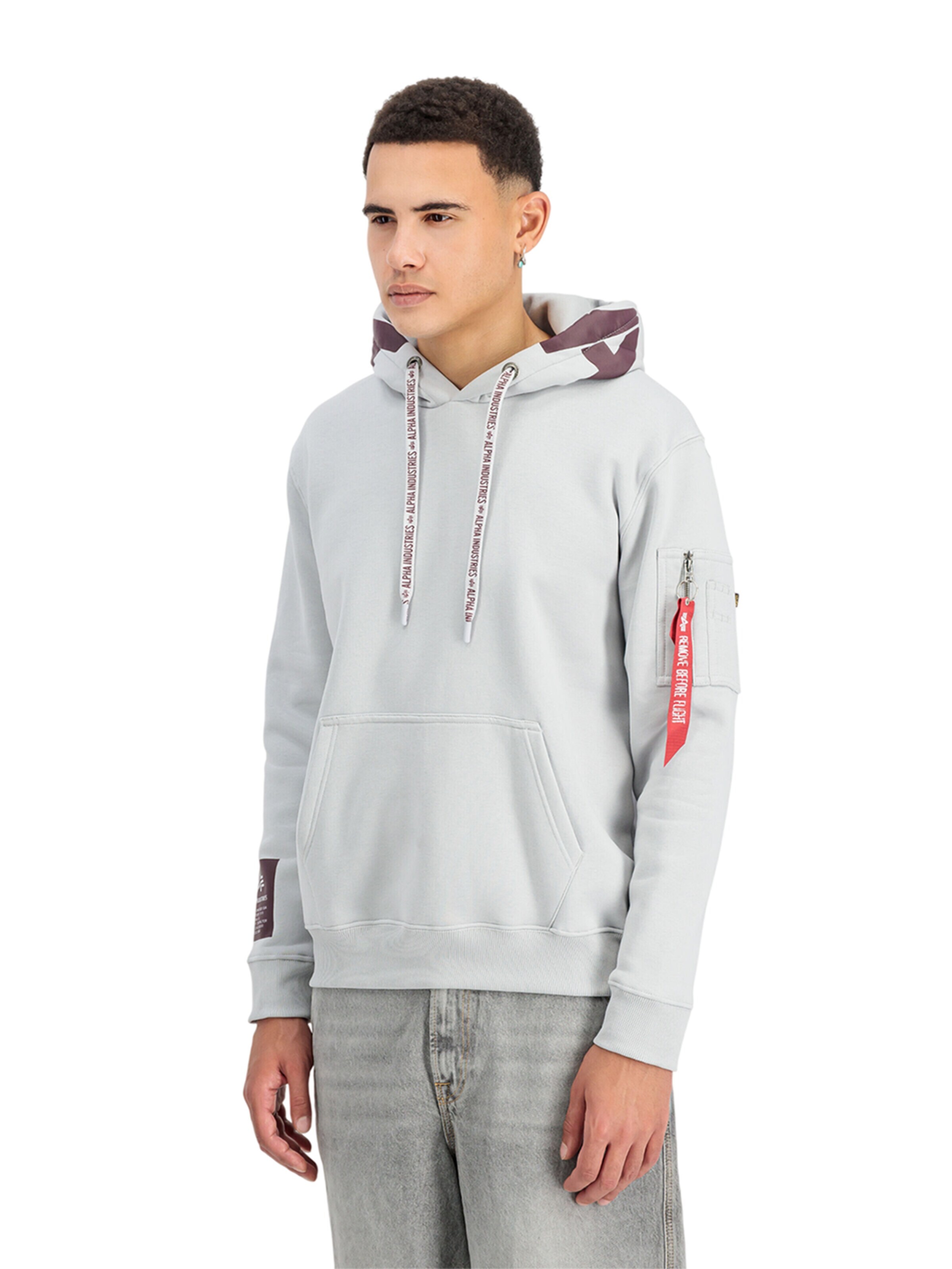 ALPHA INDUSTRIES Sweatshirt 'Alpha'‌‌‌‌‌‌‌ in Grau