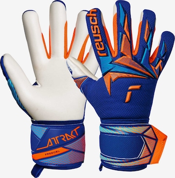 REUSCH Torwarthandschuhe 'Attrakt Freegel Advance Junior' in Blau: Vorderseite