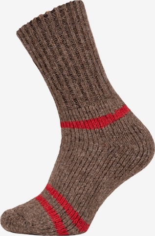 HomeOfSocks Socks 'HOS954' in Brown: front