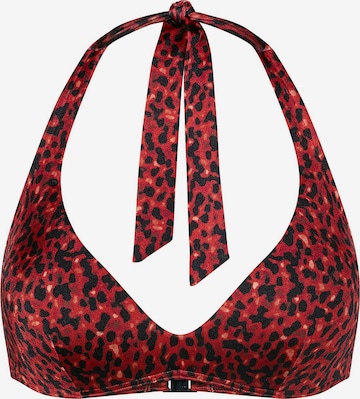 Push-up Hauts de bikini ' Red Label Midnight Swim ' TRIUMPH en marron : devant