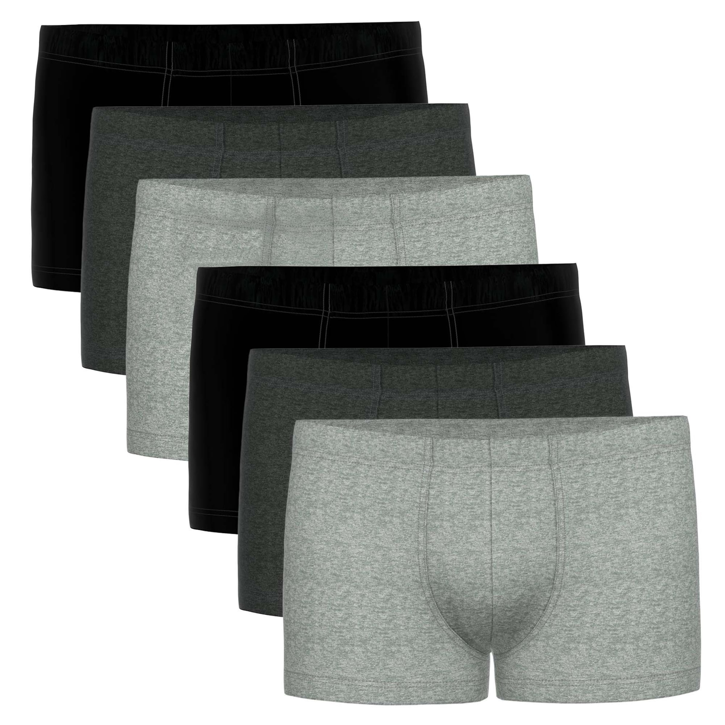 SEIDENSTICKER Boxer shorts in Mixed colours: front