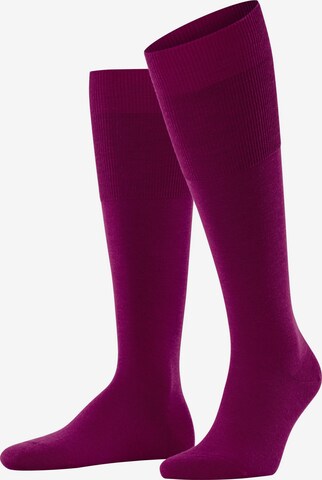 FALKE Knee High Socks 'Airport' in Pink: front