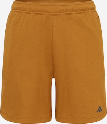 Regular Pantaloni sport 'Base ' de la ADIDAS PERFORMANCE pe maro: față