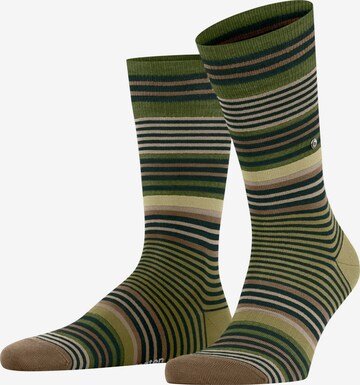 BURLINGTON Socks 'Stripe' in Green: front