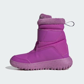 ADIDAS SPORTSWEAR Snowboots in Lila