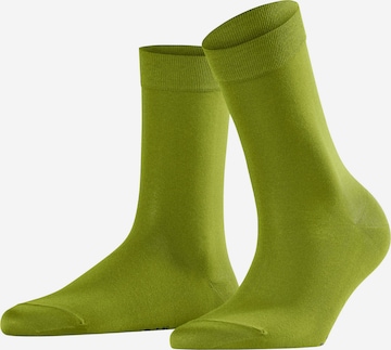 FALKE Sokid, värv roheline: eest vaates