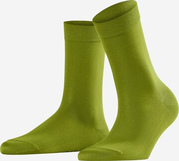 Chaussettes FALKE en vert : devant