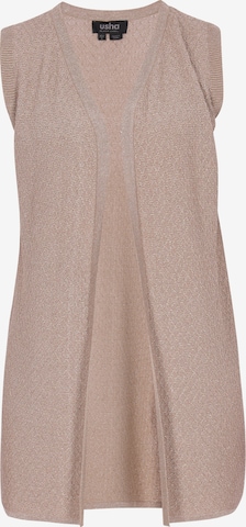 usha BLACK LABEL - Colete de malha 'Classic' em cinzento: frente