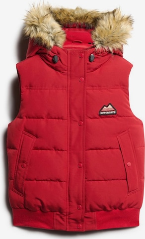 Superdry Weste in Rot: Vorderseite