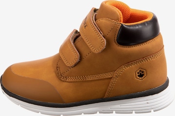 Lumberjack Sneakers in Brown