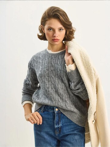 Bianco Lucci - Pullover 'Pullover' em cinzento
