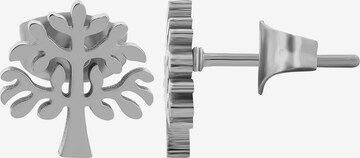 Akzent Earrings 'Vale, hautverträglich' in Silver: front