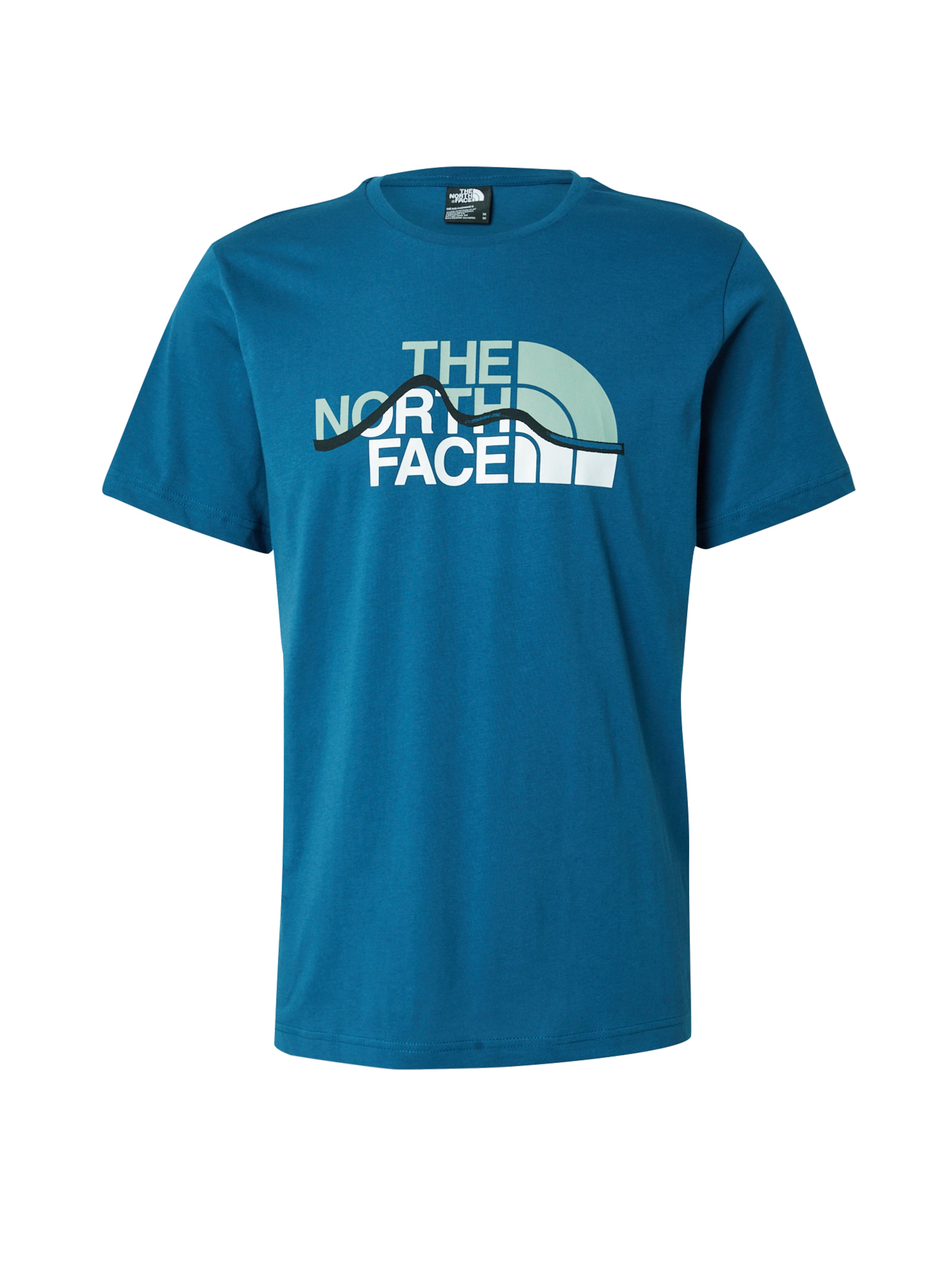 THE NORTH FACE Shirt 'Mountain Line' in Blue: front