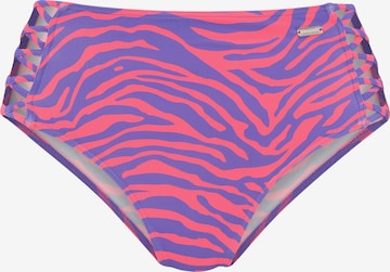 purpurinė VENICE BEACH Bikinio kelnaitės: priekis