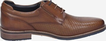 MANITU Lace-Up Shoes in Brown