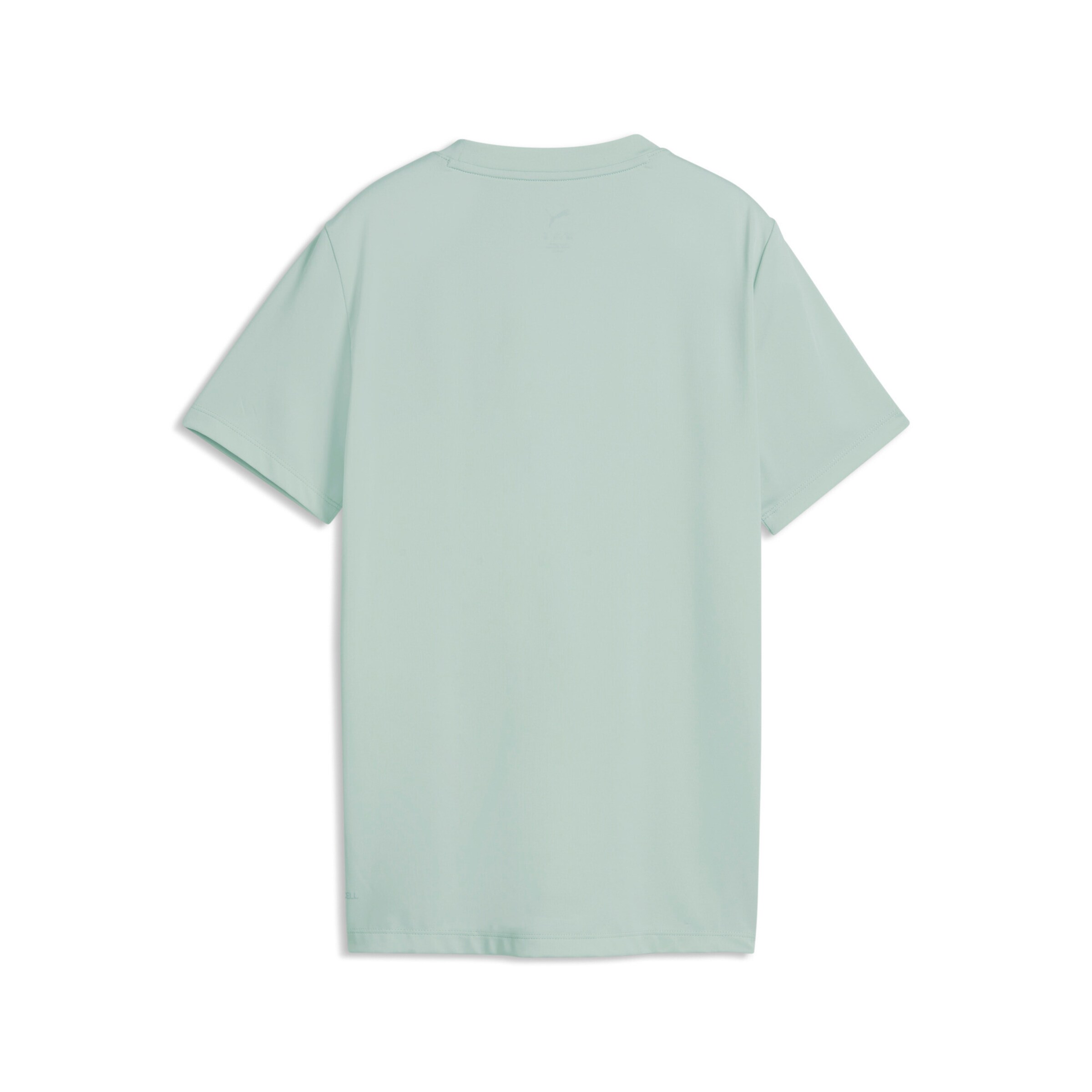 PUMA Performance Shirt in Blue