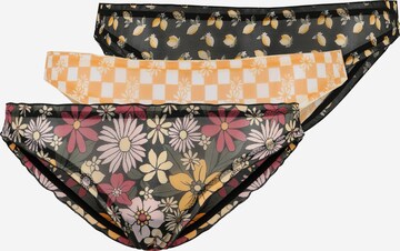 Gilly Hicks Panty in Mixed colors: front