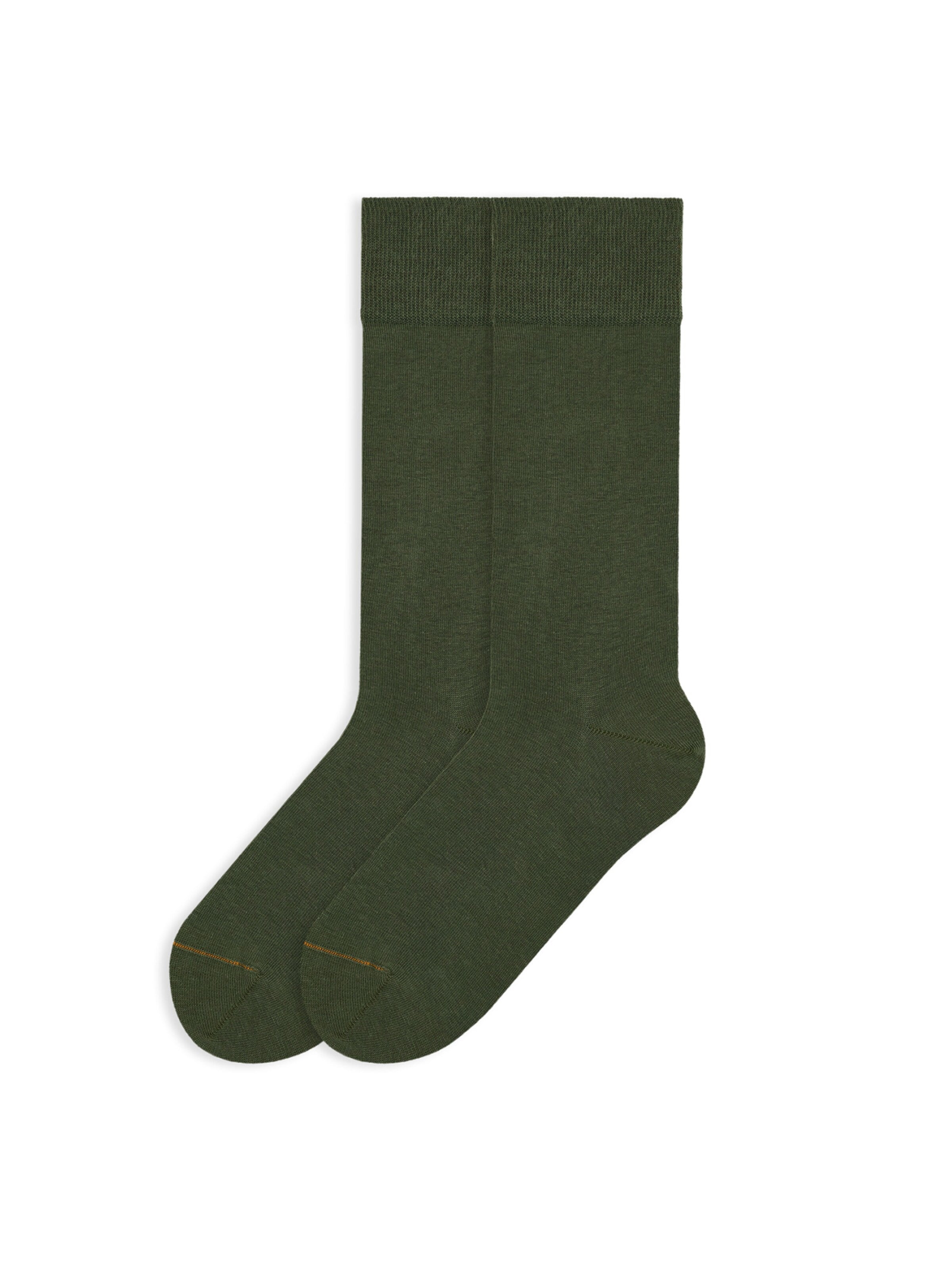 Von Jungfeld Socks 'SIGNATURE CLASSIC' in Green: front