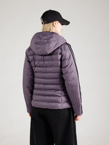 pelēks ADIDAS ORIGINALS Starpsezonu jaka