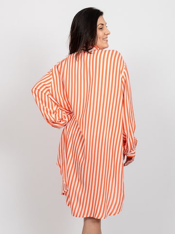 Robe-chemise 'Kalf' salzhaut en orange