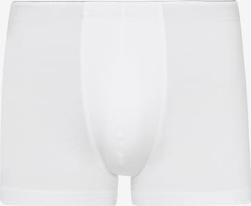 Hanro Pants ' Cotton Superior ' in Weiß: Vorderseite