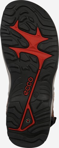 ECCO Wandelsandalen 'Offroad' in Bruin