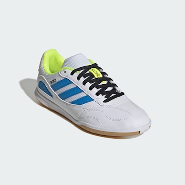 Chaussure de sport 'Super Sala Competition III' ADIDAS PERFORMANCE en blanc