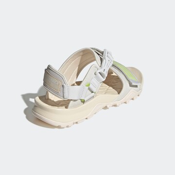 ADIDAS TERREX Sandals 'Cyprex Ultra II DLX' in Grey