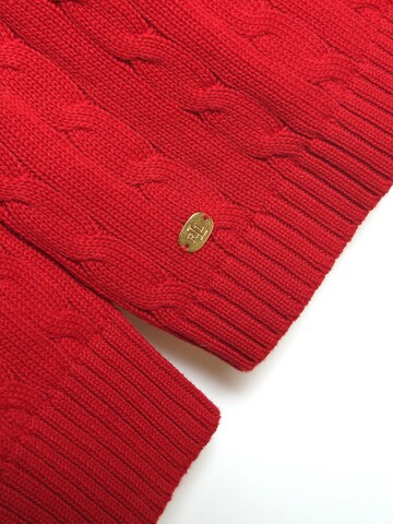 THE DRESSER Pullover in Rot