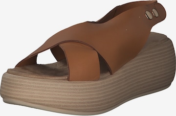 INUOVO Sandals in Brown