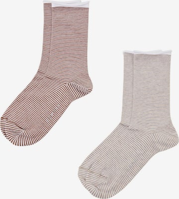 Chaussettes ESPRIT en marron : devant