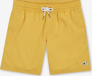 Shorts de bain 'Vert 14' O'NEILL en jaune : devant