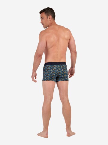 HOM Retro Boxer Briefs ' HO1 Westgate ' in Blau