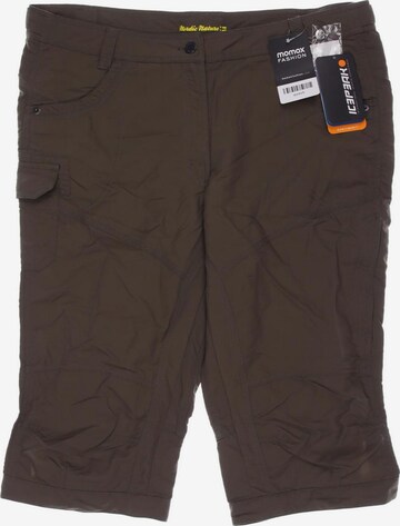 ICEPEAK Pants in XL in Brown: front