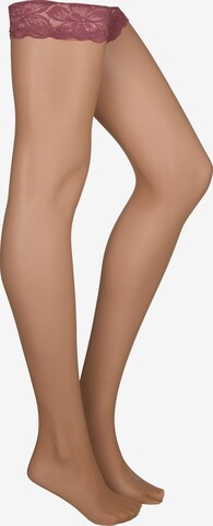Hunkemöller Overknee Strümpfe in Pink: Vorderseite