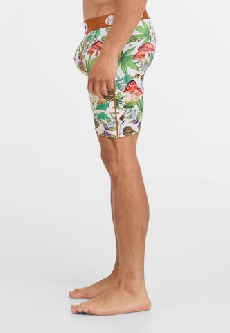 PSD Boxershorts in Gemengde kleuren