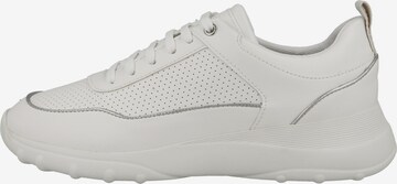 GEOX Sneakers in White: front