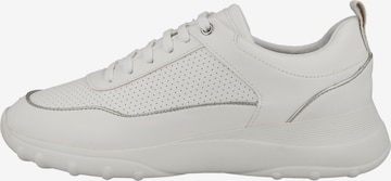 Sneaker bassa di GEOX in bianco: frontale