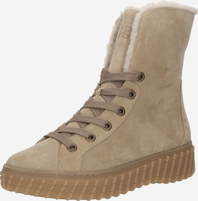Paul Green Schnürstiefelette in taupe / offwhite, Produktansicht