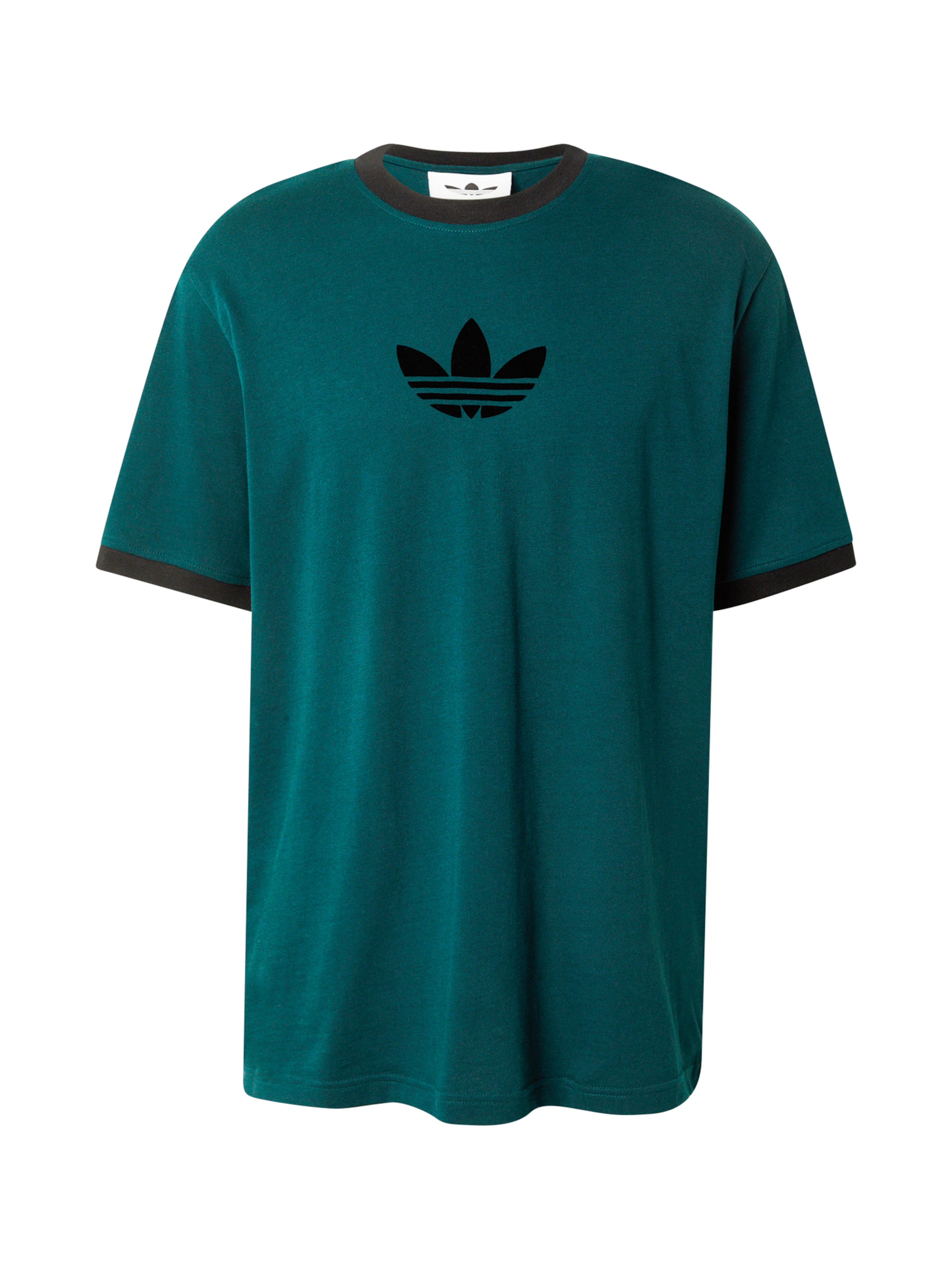 ADIDAS ORIGINALS Футболка 'Adicolor 2000s Cali' в Зеленый: спереди